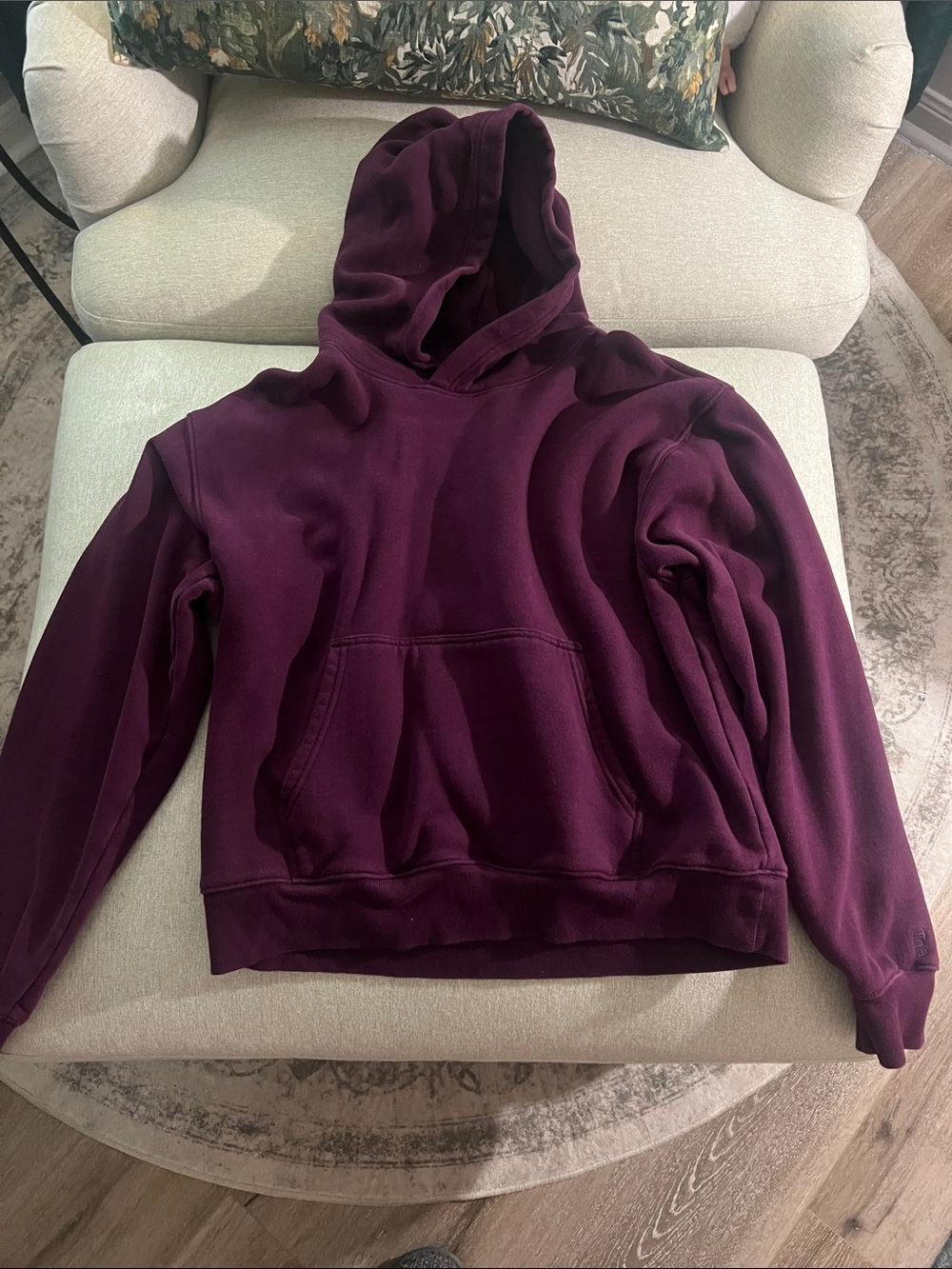 Aritzia TNA Cozy Pullover Hoodie in Deep Plum